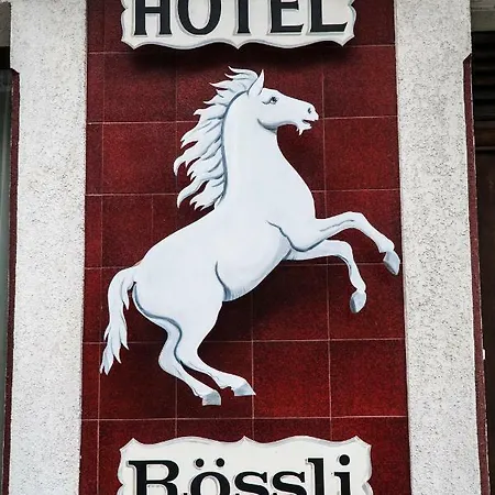 Weisses Roessli Отель 2*