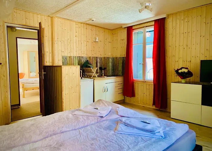 Weisses Roessli 酒店