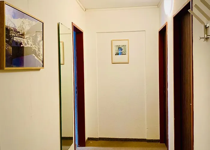 Weisses Roessli מלון 2*