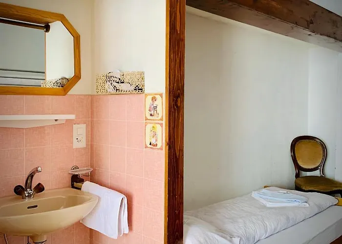 מלון Weisses Roessli 2*