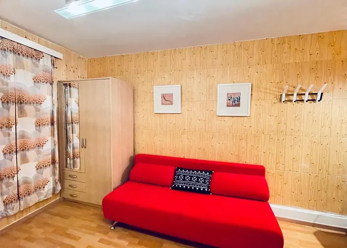 酒店 Weisses Roessli