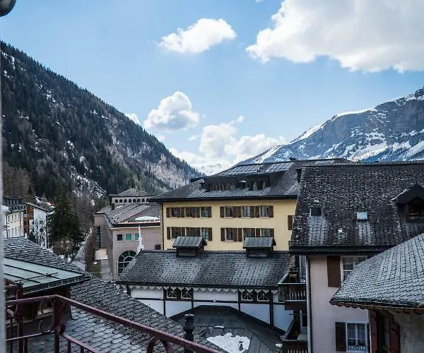 Weisses Roessli 酒店 2*