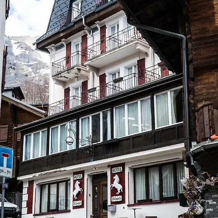 Hotel Weisses Roessli 2*