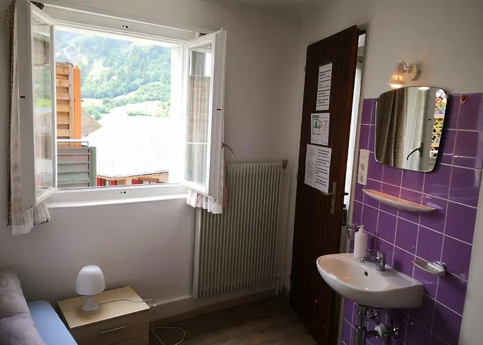 Weisses Roessli Hotel 2*